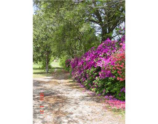 8559 Boss Husley Road Biloxi, MS 39532 - Photo 8 of 15 Additional Photo