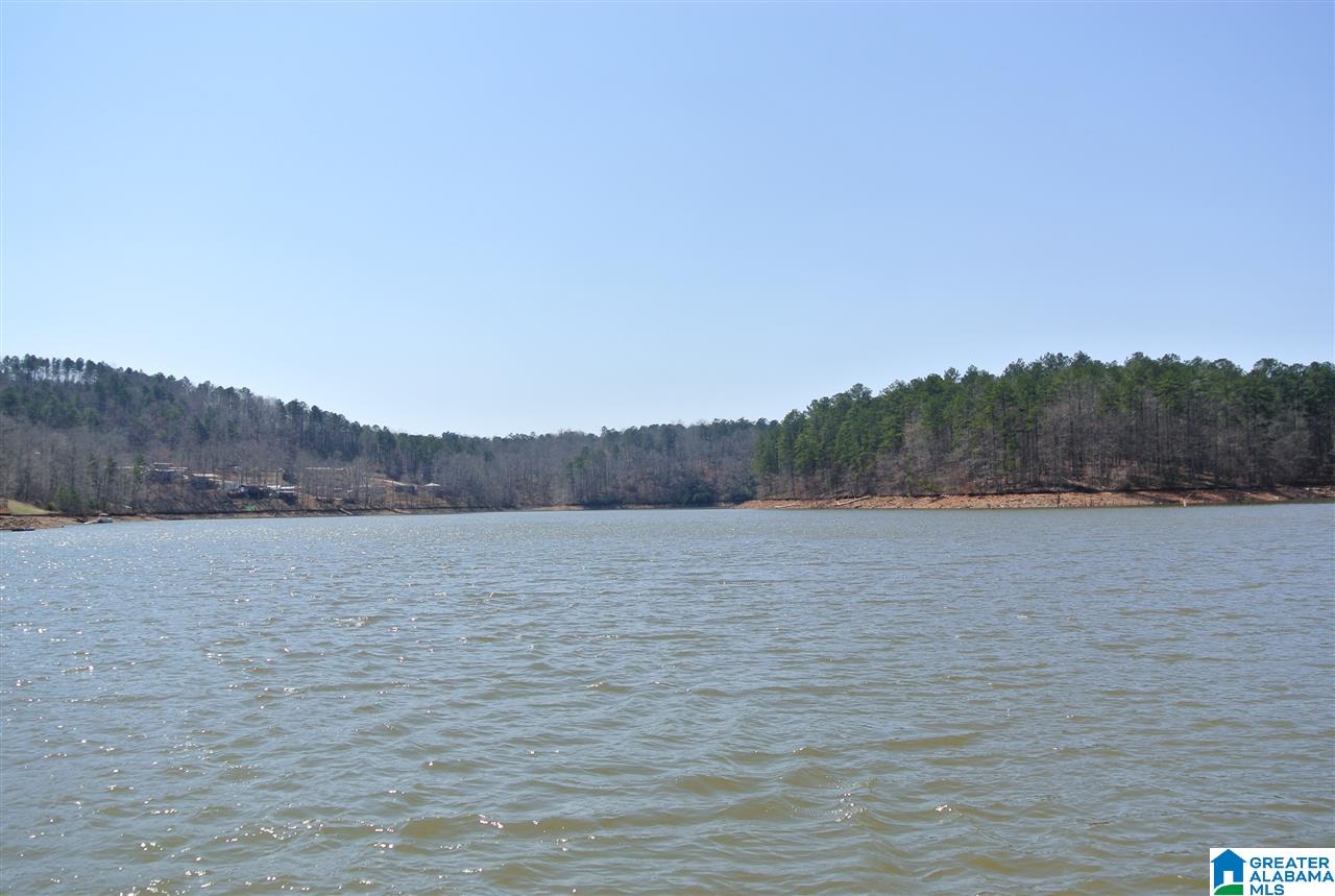 335 Hanson Road Wedowee, AL 36278 - Photo 14 of 24