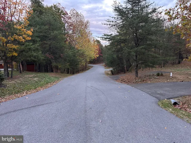 a view of a field with trees in background