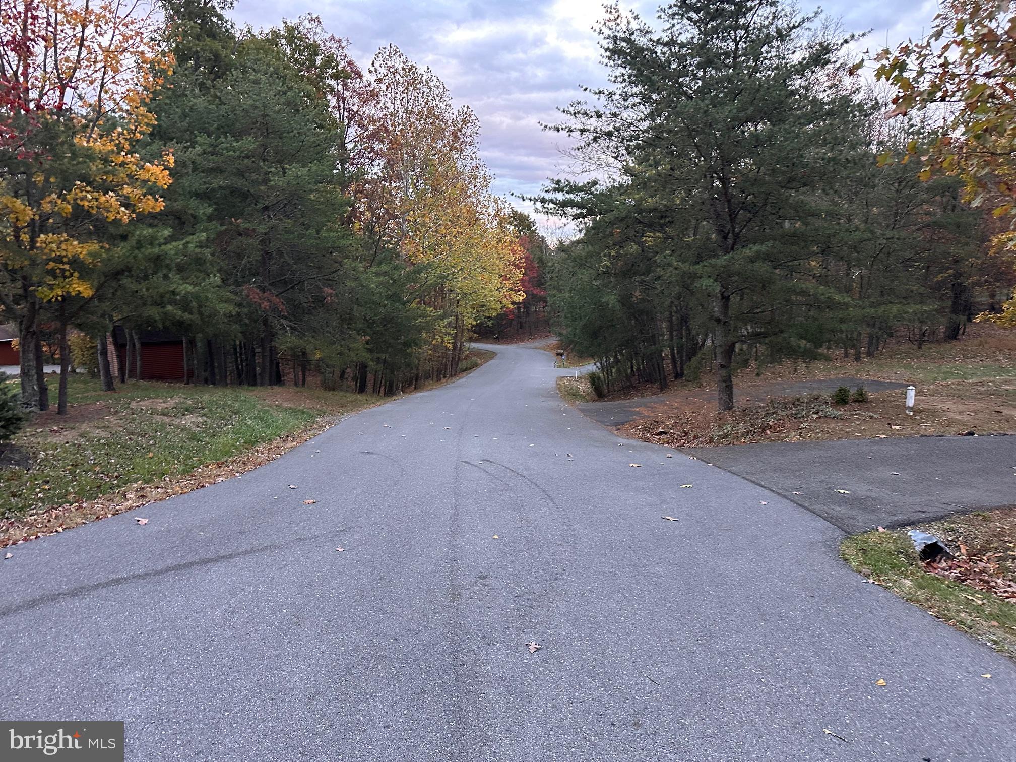 Lot 58 Medford Lane Berkeley Springs, WV 25411 - Photo 5 of 7 a view of a field with trees in background