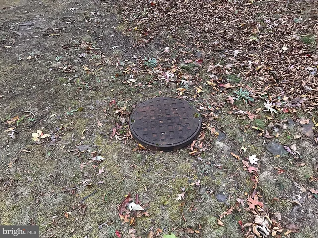 a view of a plants with large tree