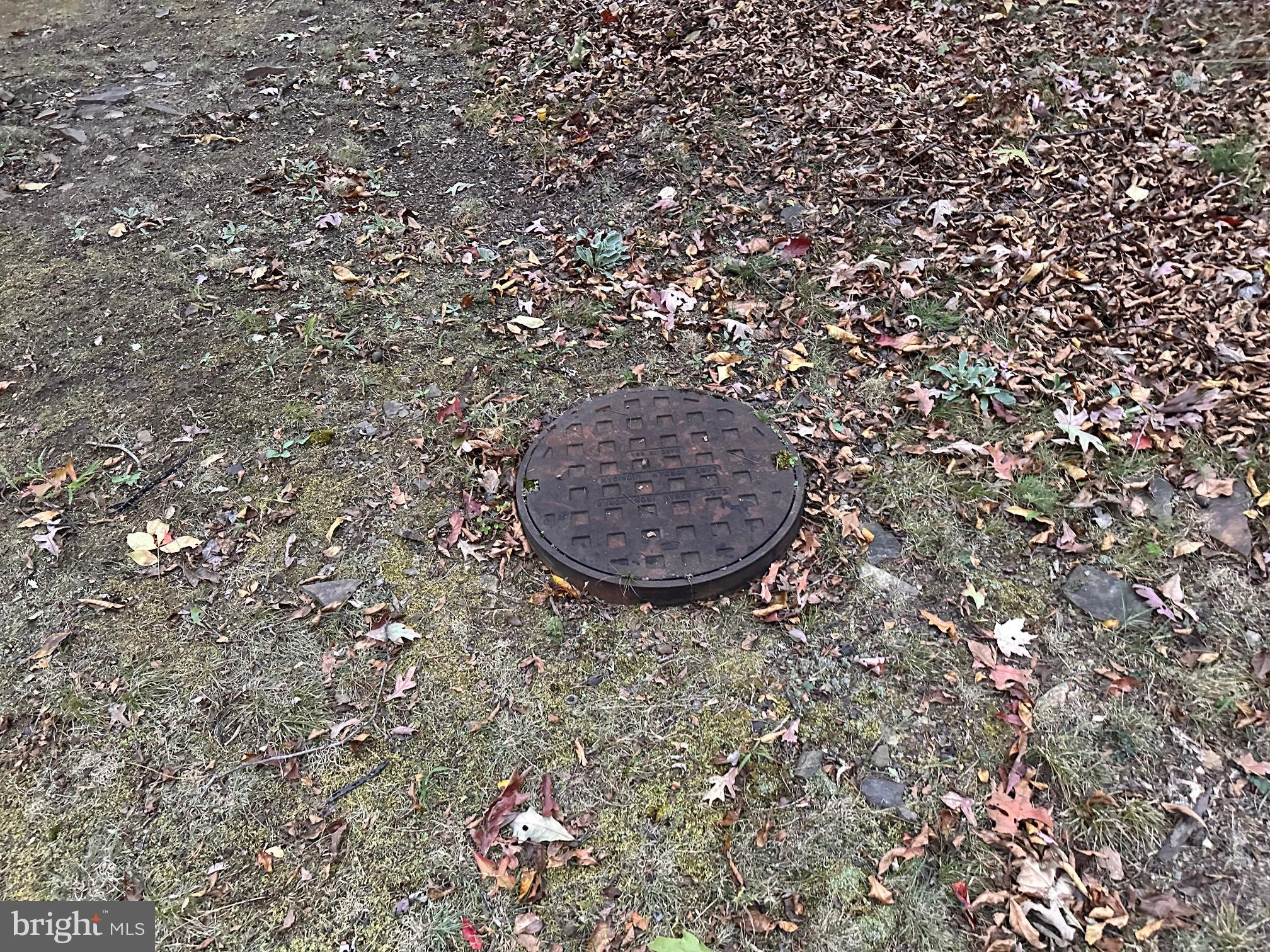 Lot 58 Medford Lane Berkeley Springs, WV 25411 - Photo 7 of 7 a view of a plants with large tree