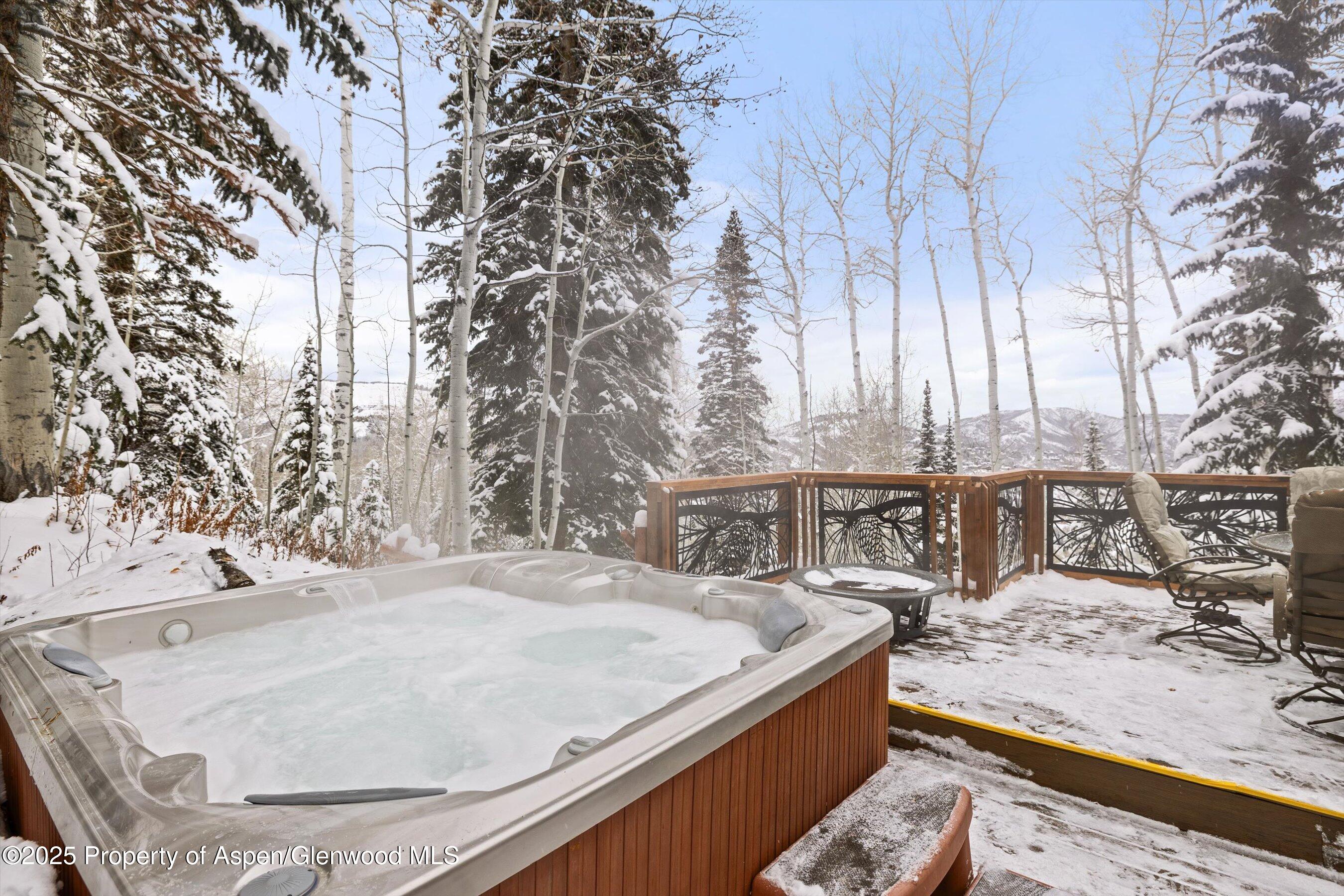 818 Faraway Road Snowmass Village, CO 81615 - Photo 7 of 24 a view of swimming pool with a patio
