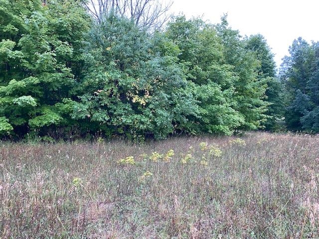 243 South Ridge Traverse City, MI 49696 - Photo 8 of 17 1916289-7.JPG