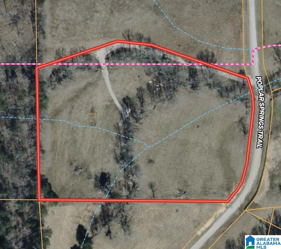 0 Poplar Springs Road Ashville, AL 35953 - Photo 10 of 10