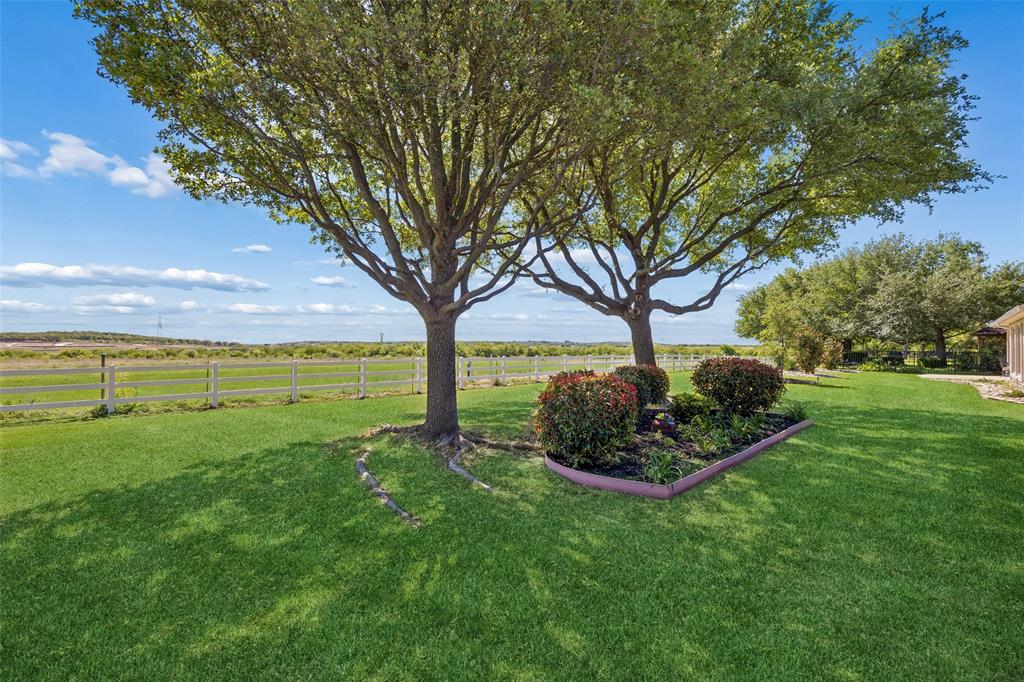 9221 Perimeter Street Denton, TX 76207 - Photo 31 of 36 a garden with trees in the background