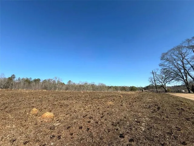 a view of a yard with a mountain in the background