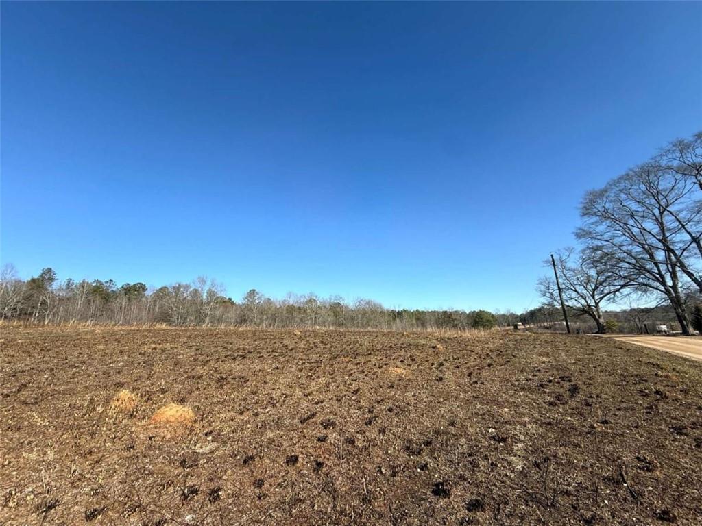 0 Ten 10 Oaks Road Buchanan, GA 30113 - Photo 3 of 4