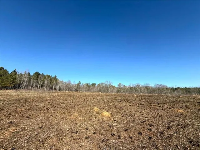 a view of a field with trees in the background
