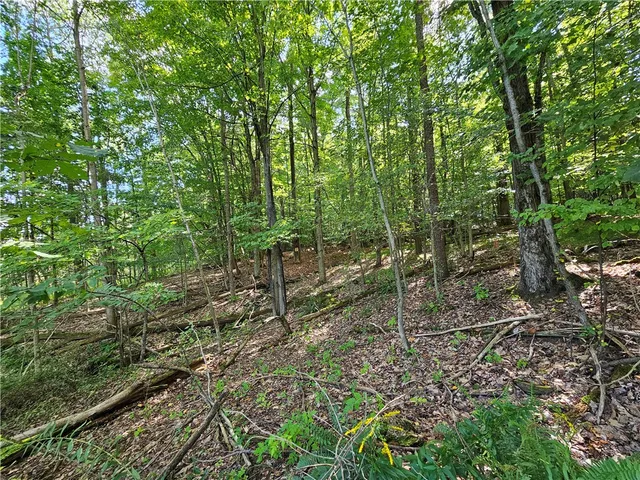 $170,000 | 1189 Willey Road, Arkport, NY 14807