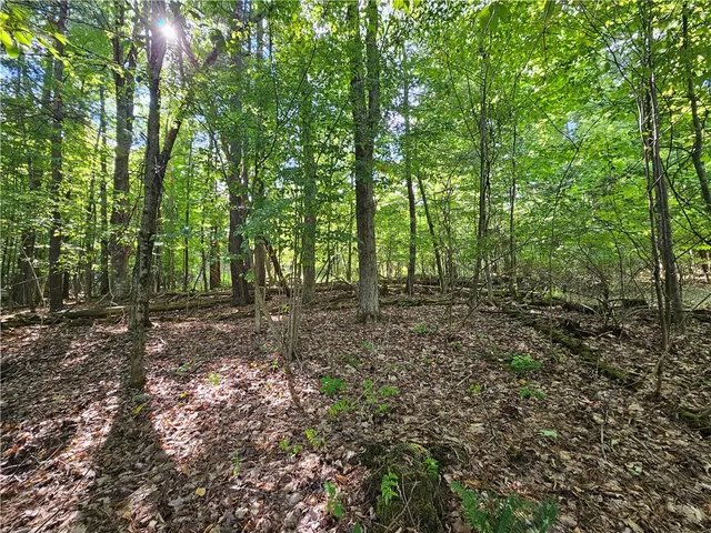 $170,000 | 1189 Willey Road, Arkport, NY 14807