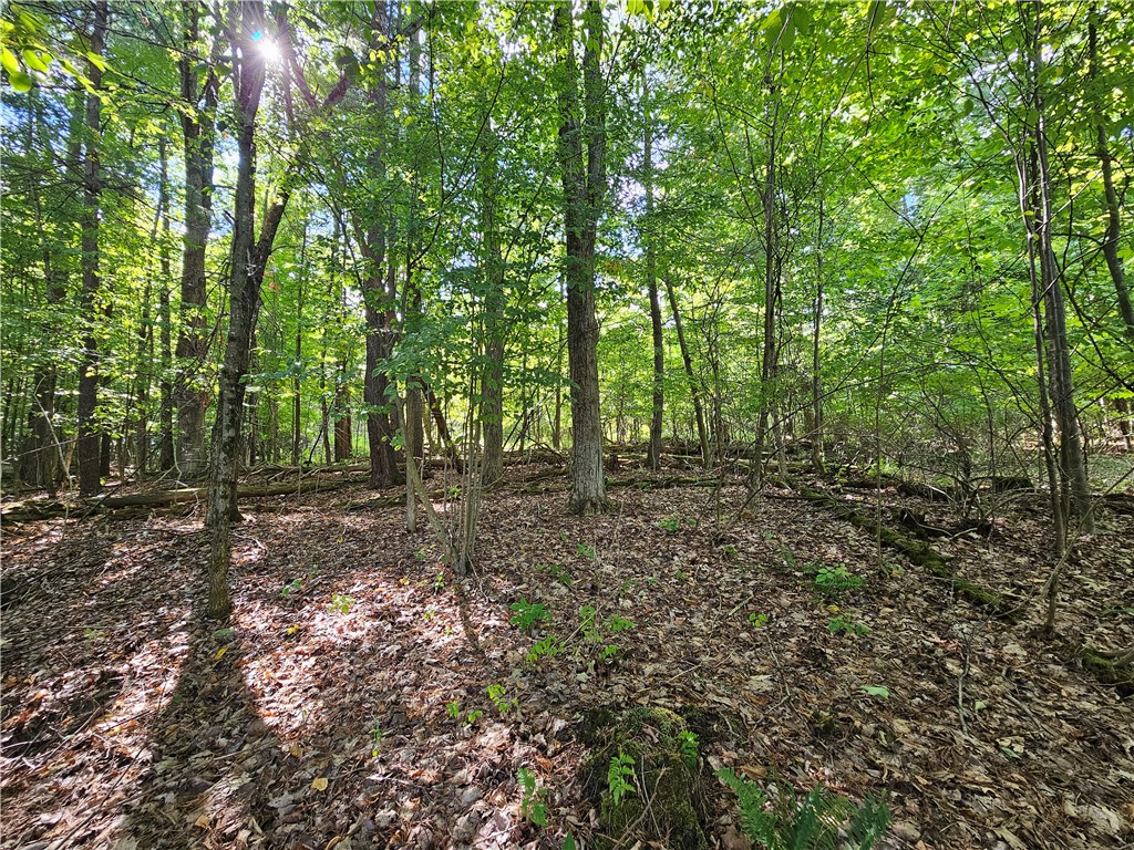 1189 Willey Road Arkport, NY 14807 - Photo 32 of 44