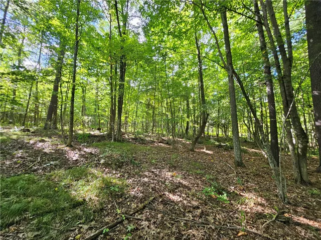 $170,000 | 1189 Willey Road, Arkport, NY 14807