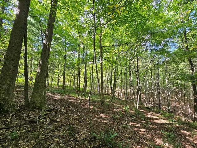 $170,000 | 1189 Willey Road, Arkport, NY 14807