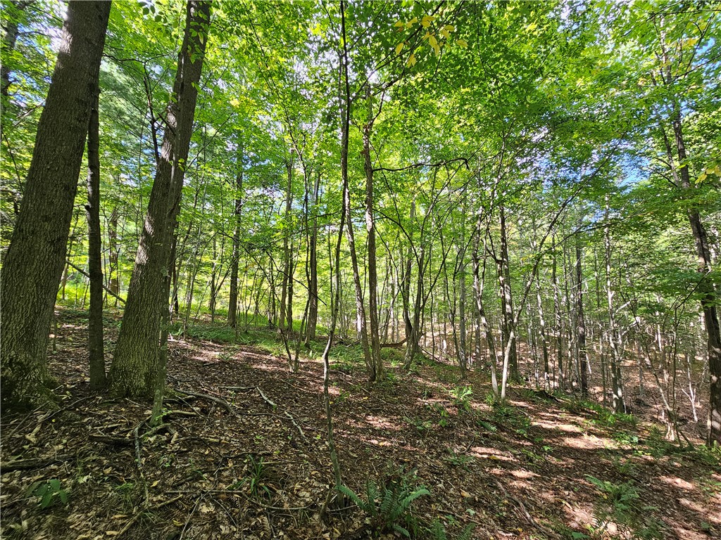 1189 Willey Road Arkport, NY 14807 - Photo 34 of 44