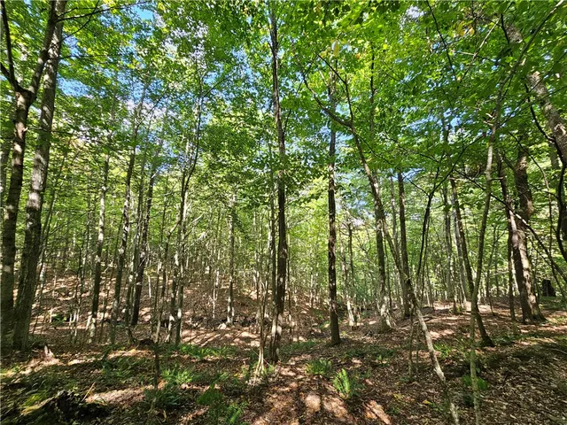 $170,000 | 1189 Willey Road, Arkport, NY 14807