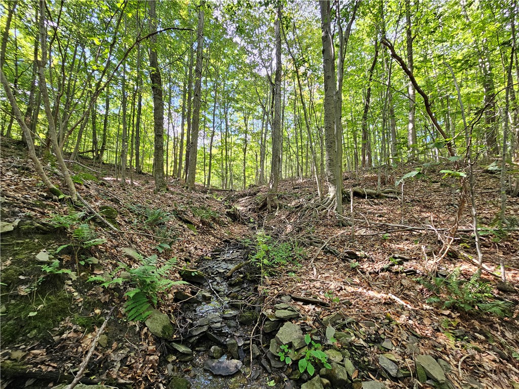 1189 Willey Road Arkport, NY 14807 - Photo 36 of 44