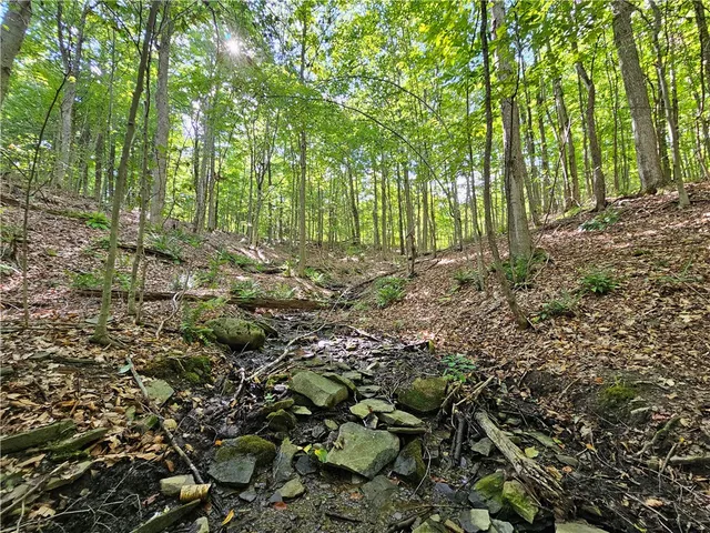 $170,000 | 1189 Willey Road, Arkport, NY 14807