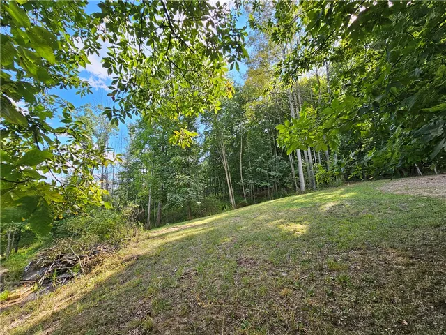 $170,000 | 1189 Willey Road, Arkport, NY 14807