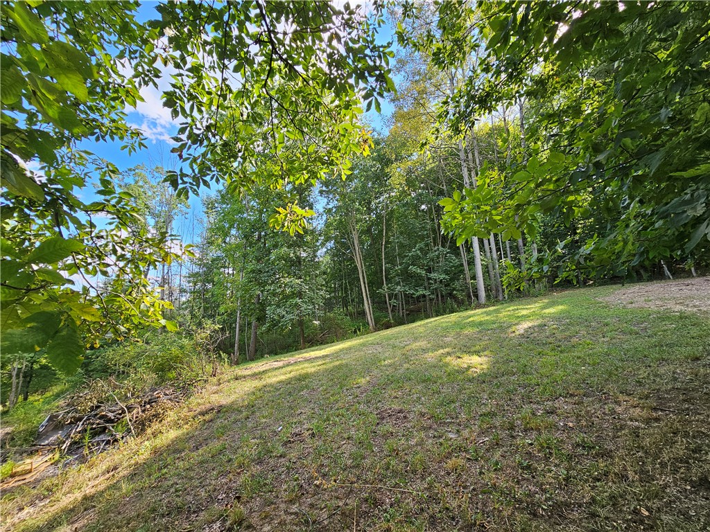 1189 Willey Road Arkport, NY 14807 - Photo 38 of 44