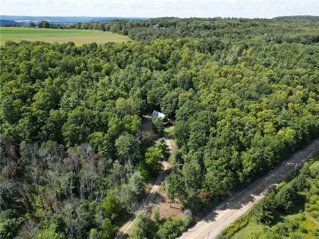 $170,000 | 1189 Willey Road, Arkport, NY 14807