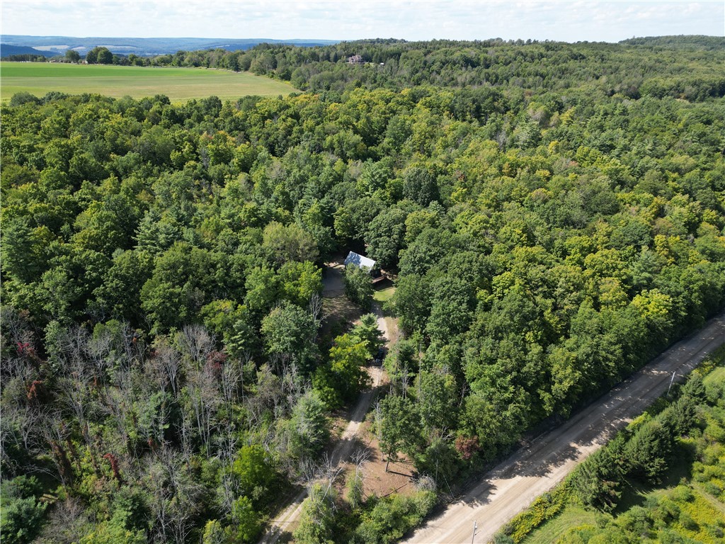 1189 Willey Road Arkport, NY 14807 - Photo 39 of 44