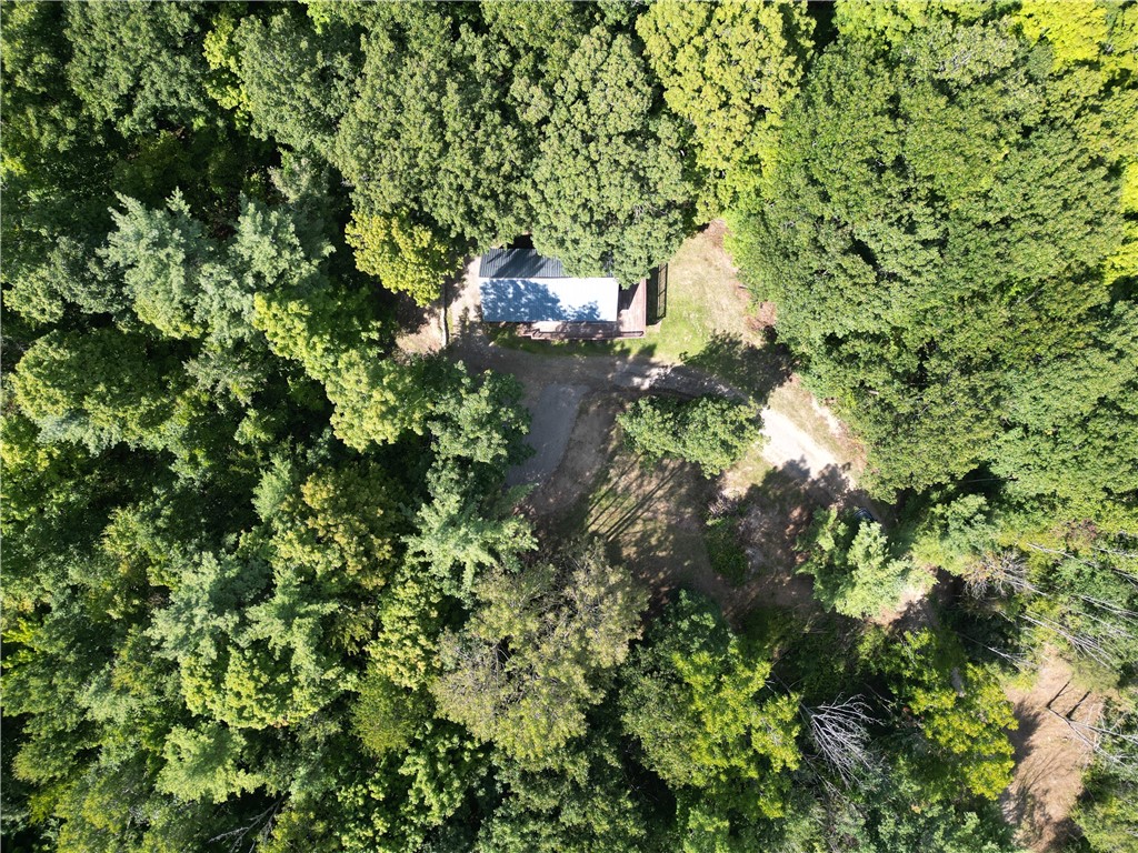 1189 Willey Road Arkport, NY 14807 - Photo 40 of 44