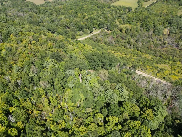 $170,000 | 1189 Willey Road, Arkport, NY 14807