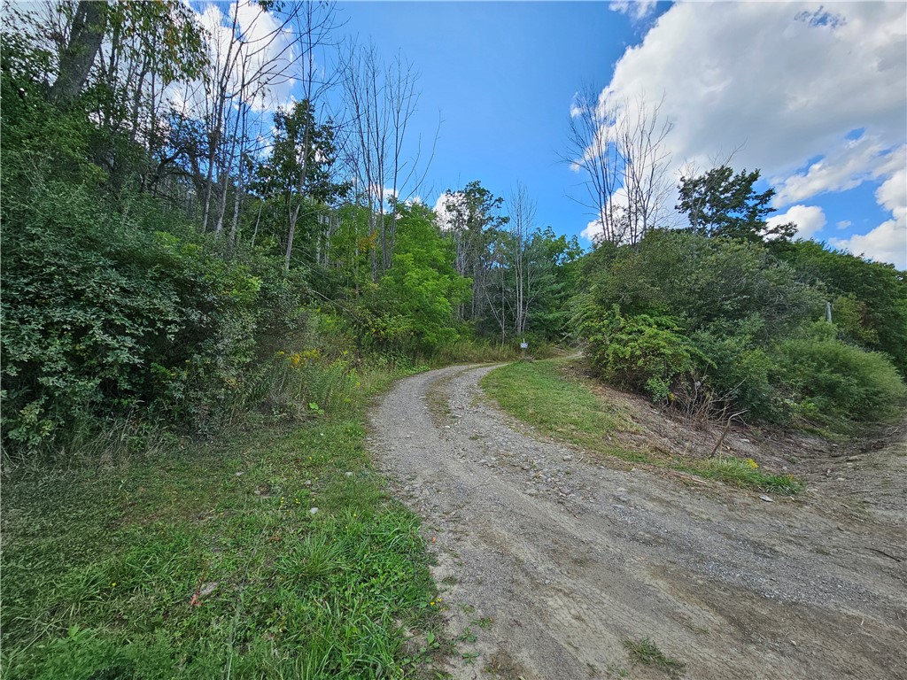 1189 Willey Road Arkport, NY 14807 - Photo 42 of 44