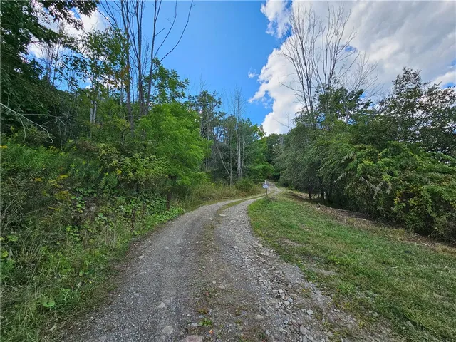 $170,000 | 1189 Willey Road, Arkport, NY 14807