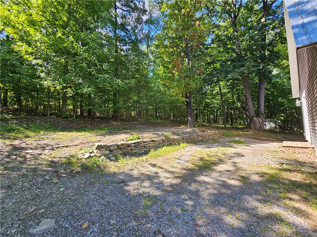 1189 Willey Road Arkport, NY 14807 - Photo 9 of 44