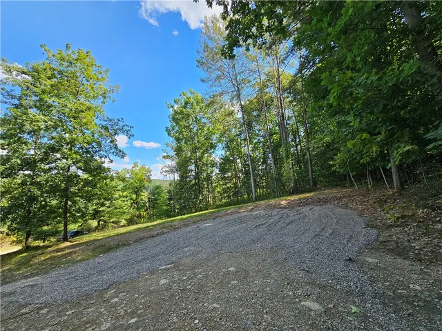 $170,000 | 1189 Willey Road, Arkport, NY 14807