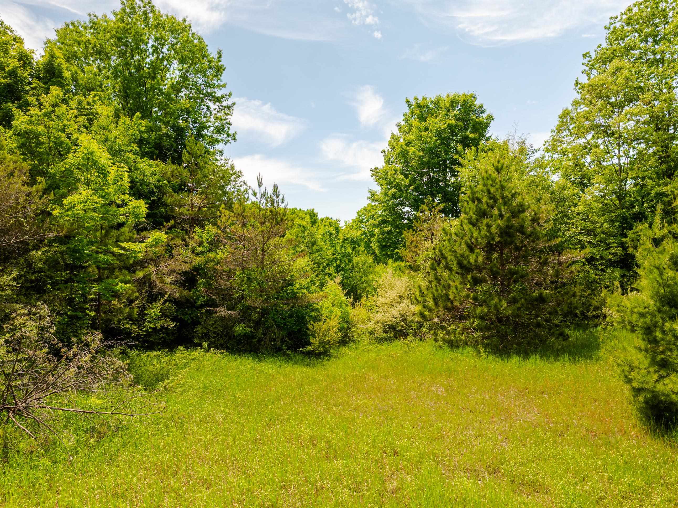 Tbd Traverse Road Thompsonville, MI 49683 - Photo 11 of 40