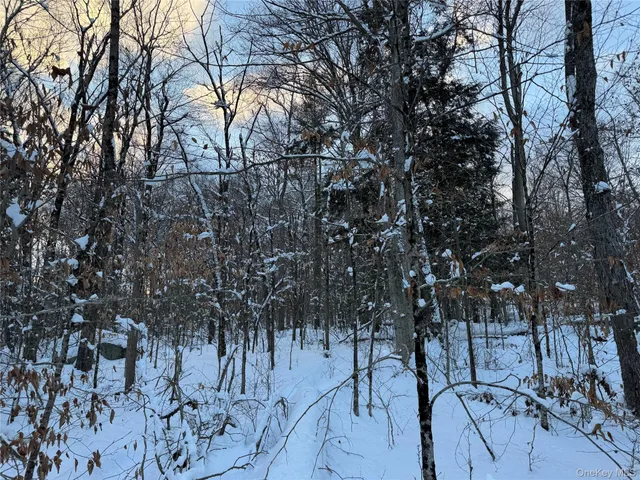 a view of a yard with a tree