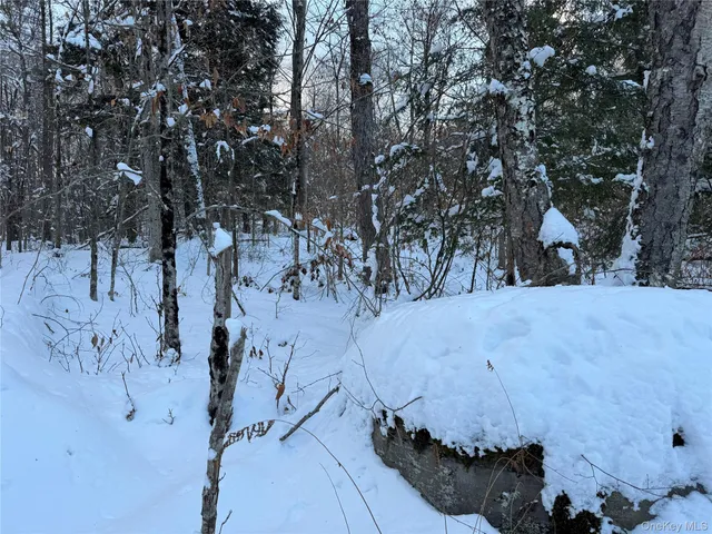 a view of a yard with snow
