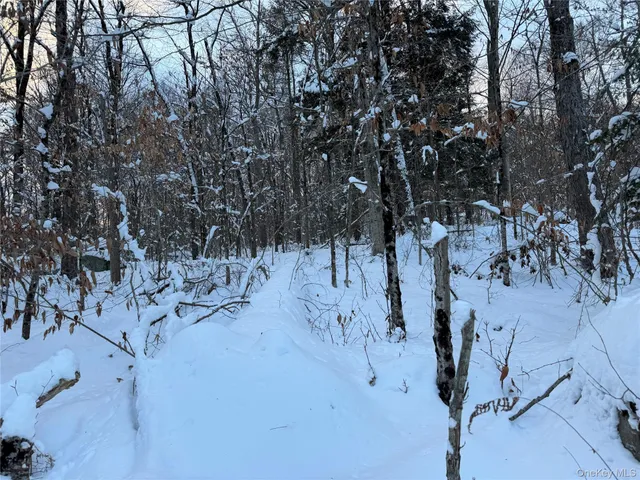 a view of a row of trees with a house
