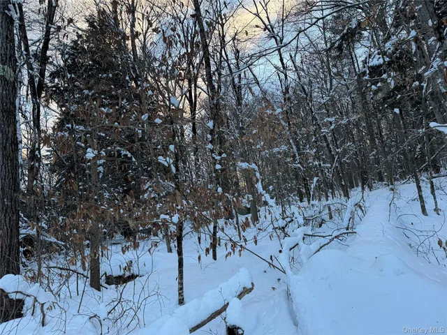 a view of a large yard with a tree