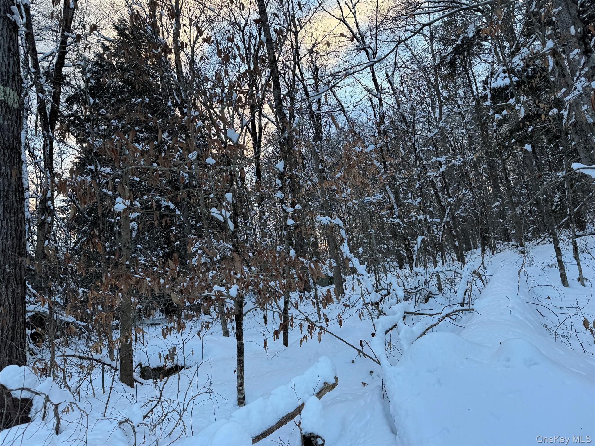 0 Starlight Road Monticello, NY 12701 - Photo 14 of 15 a view of a large yard with a tree