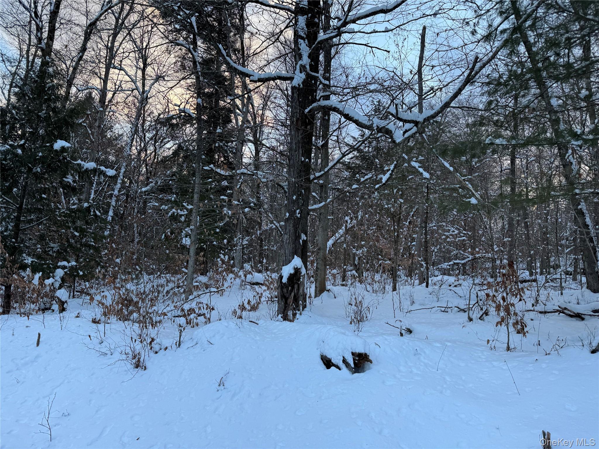 0 Starlight Road Monticello, NY 12701 - Photo 15 of 15 a view of a forest covered with snow