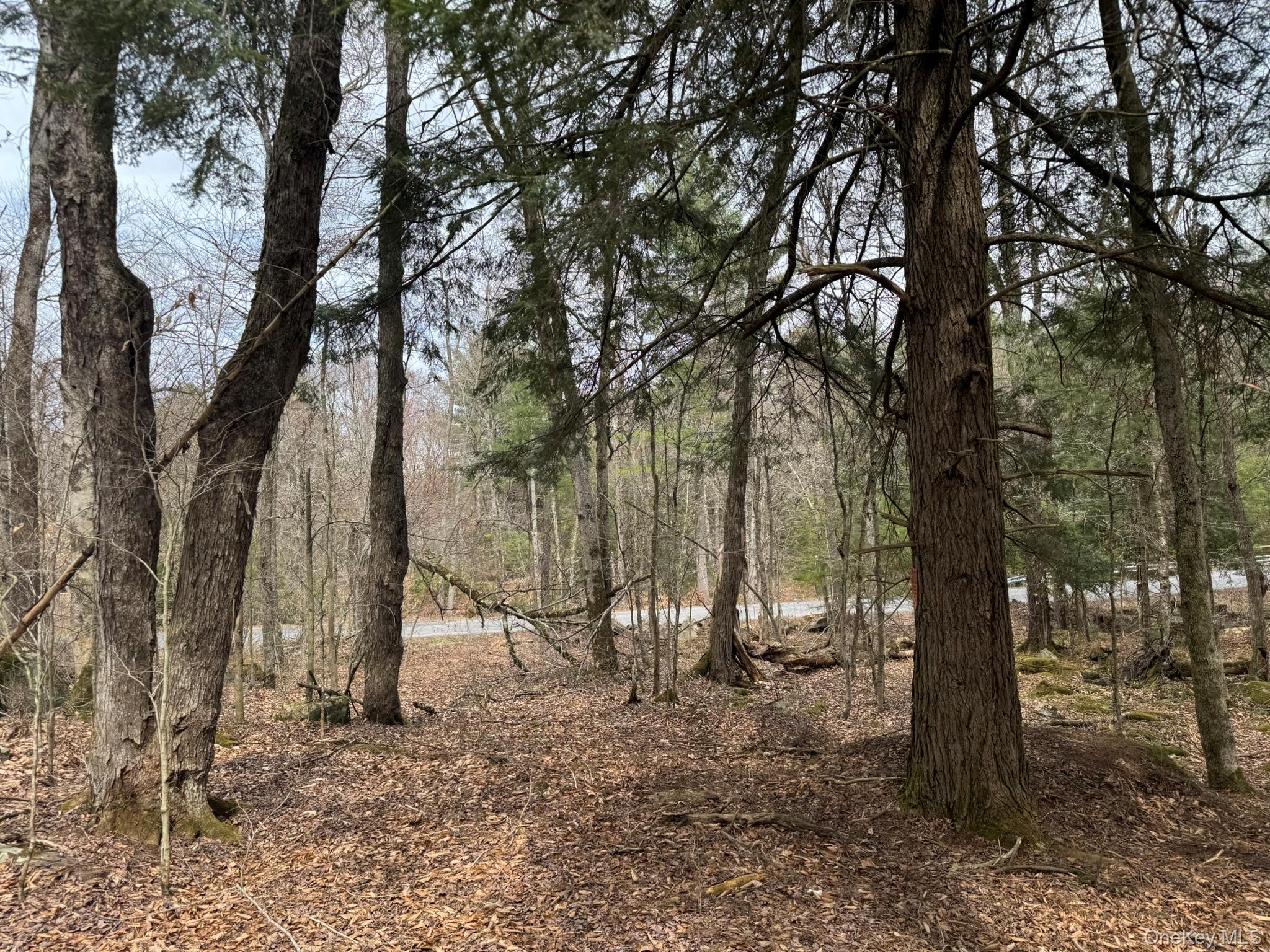 0 Starlight Road Monticello, NY 12701 - Photo 16 of 16 a view of outdoor space with lots of trees