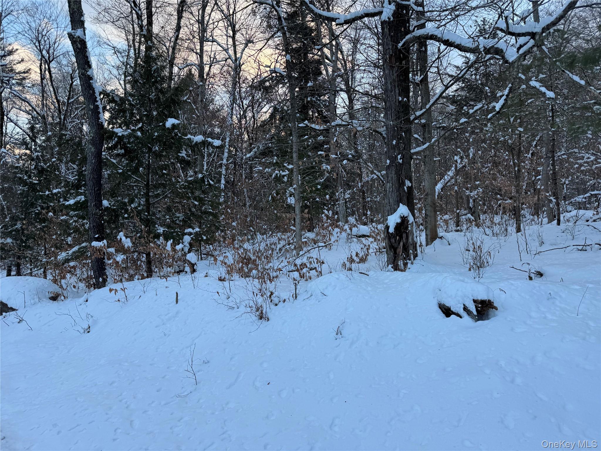 0 Starlight Road Monticello, NY 12701 - Photo 5 of 15 a view of outdoor space with seating area