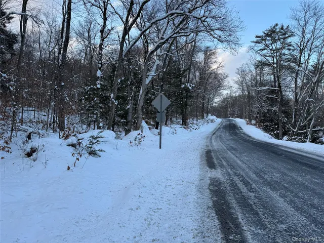 a view of a forest with trees covered with snow