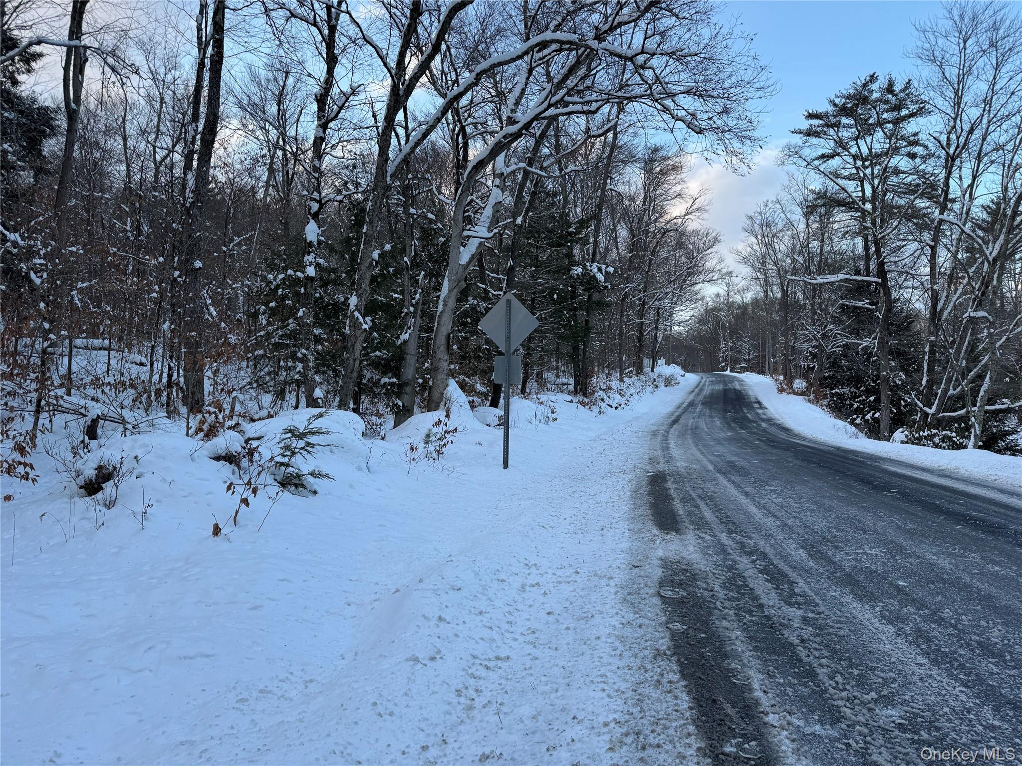 0 Starlight Road Monticello, NY 12701 - Photo 6 of 15 a view of a forest with trees covered with snow