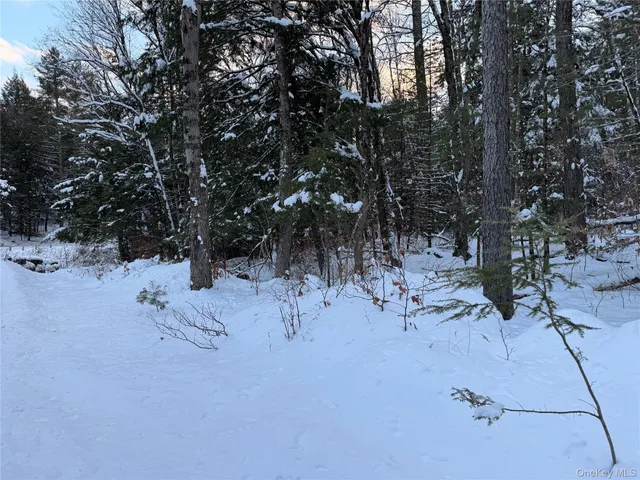 a view of backyard with a table and chairs