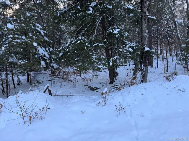 a view of a backyard of the house