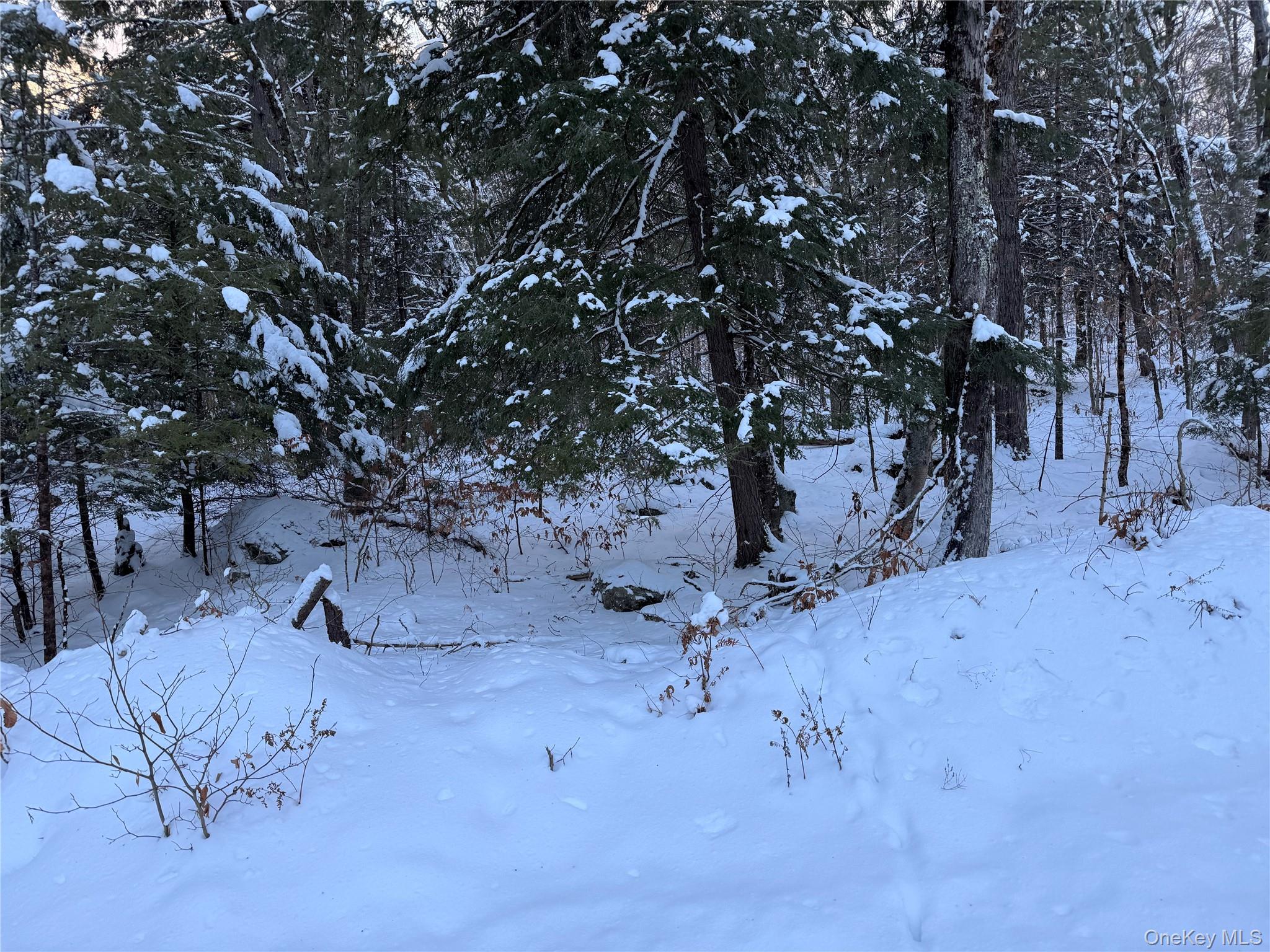 0 Starlight Road Monticello, NY 12701 - Photo 10 of 15 a view of a backyard of the house