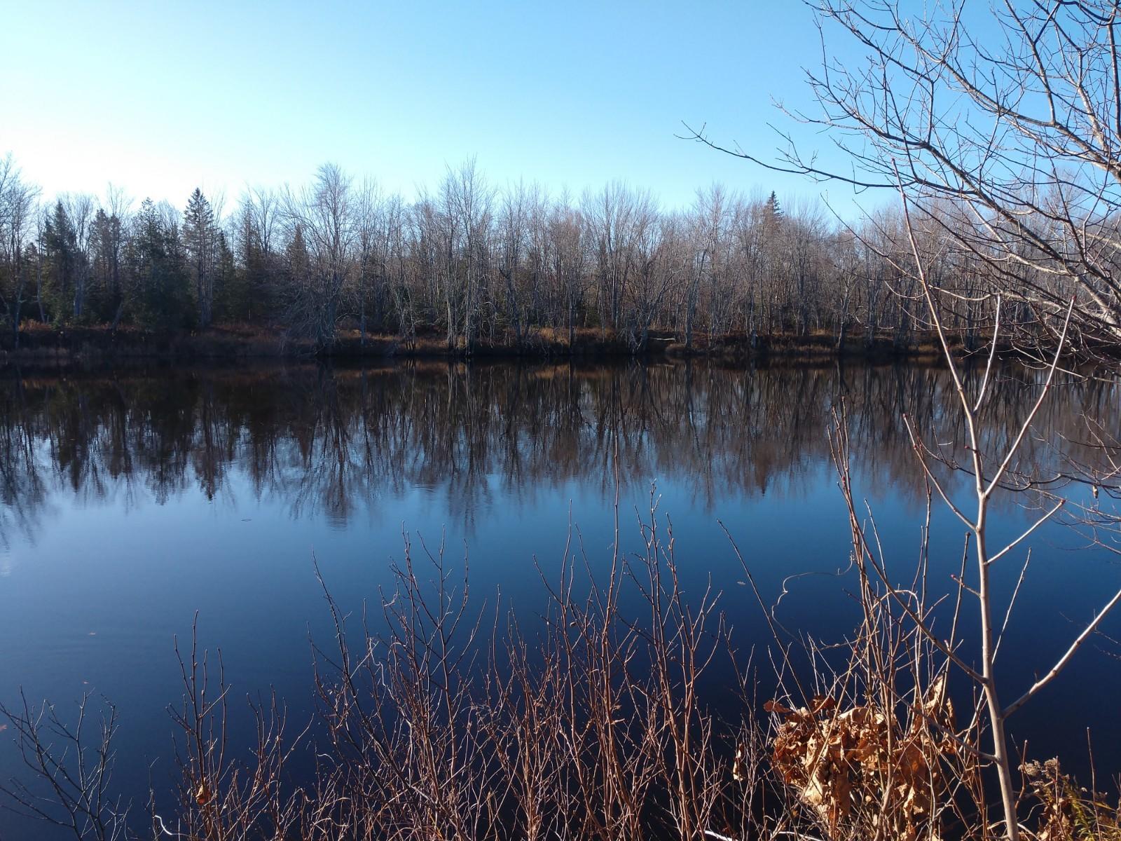 Lot 7 Emery Road Medford, ME 04463 - Photo 7 of 16 IMG_20191102_095528190