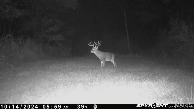 $228,000 | 3040 Texaco Lane, Salem, IL 62881