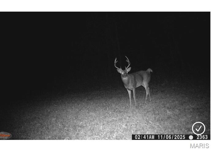 3040 Texaco Lane Salem, IL 62881 - Photo 11 of 98