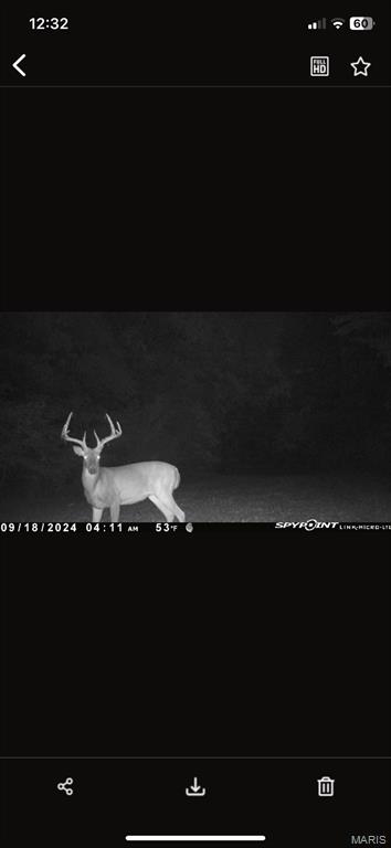 3040 Texaco Lane Salem, IL 62881 - Photo 12 of 98